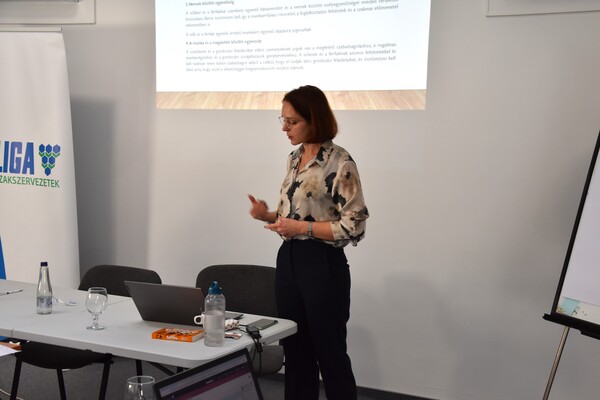 Székesfehérvár 2.JPG [sm-300]